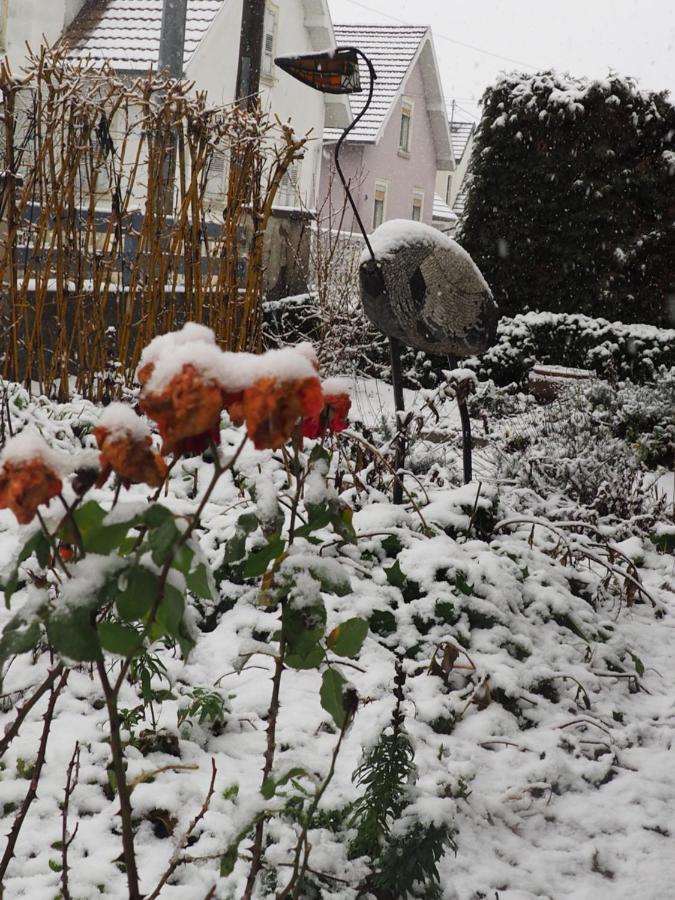 Gite Du Heron Daire La Wantzenau Dış mekan fotoğraf